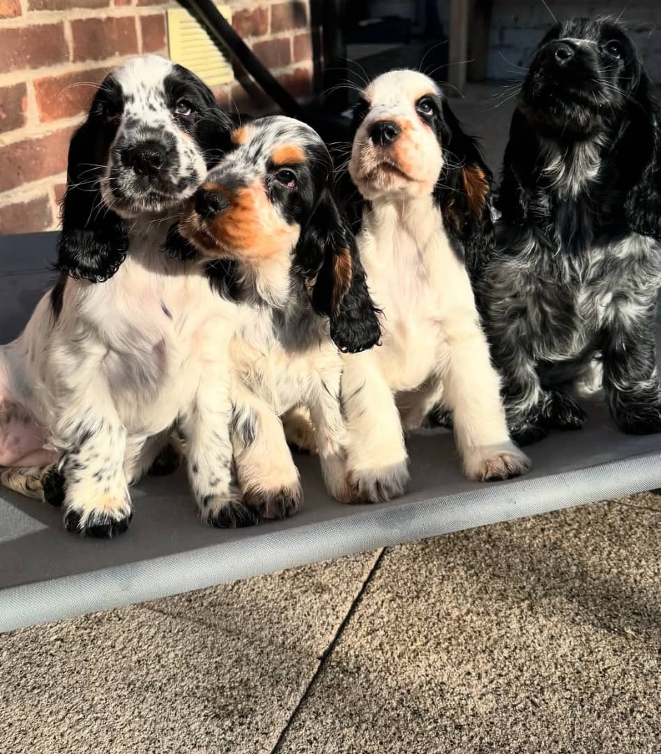 7d766666-70ad-4527-b957-eb4b60186868