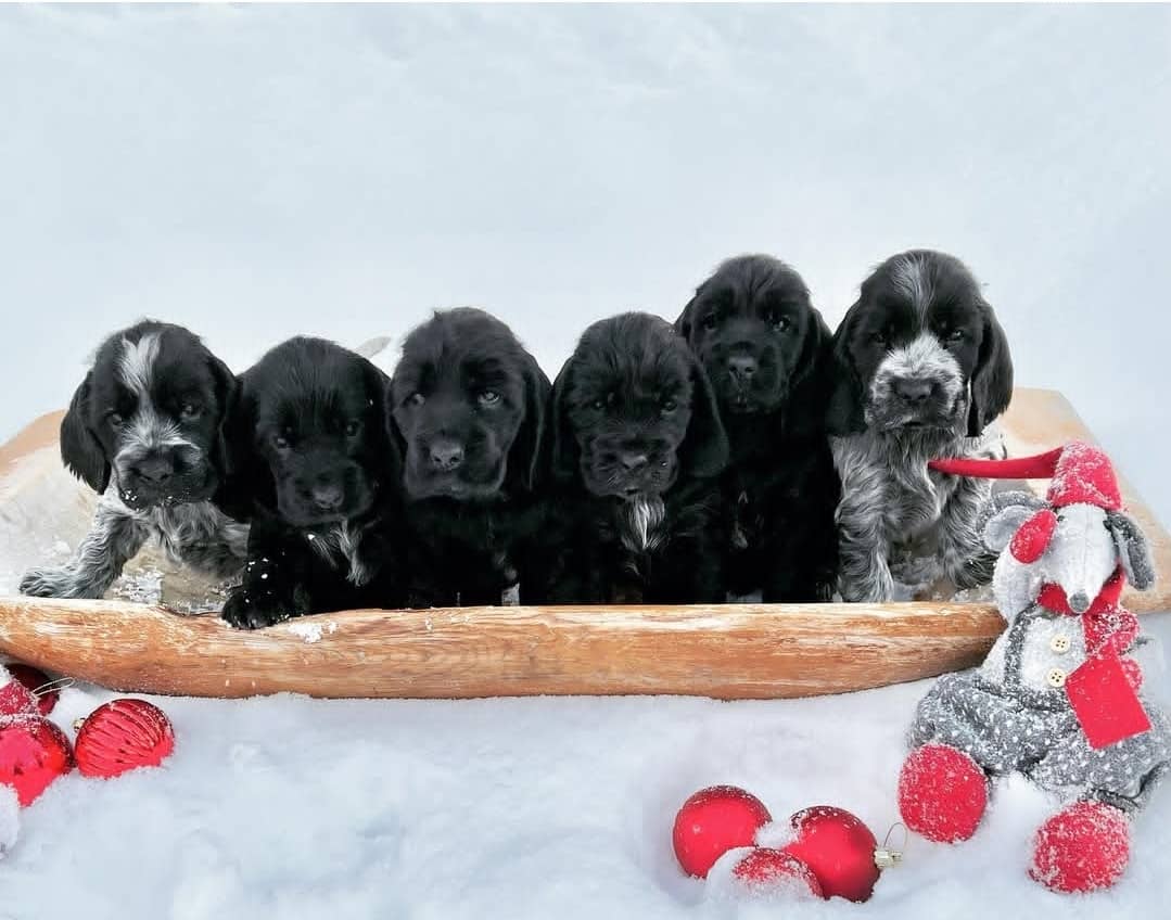 WhatsApp Image 2025-03-31 at 12.29