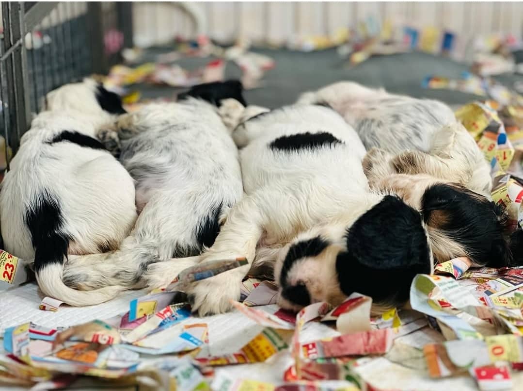 WhatsApp Image 2025-05-05 at 5.59